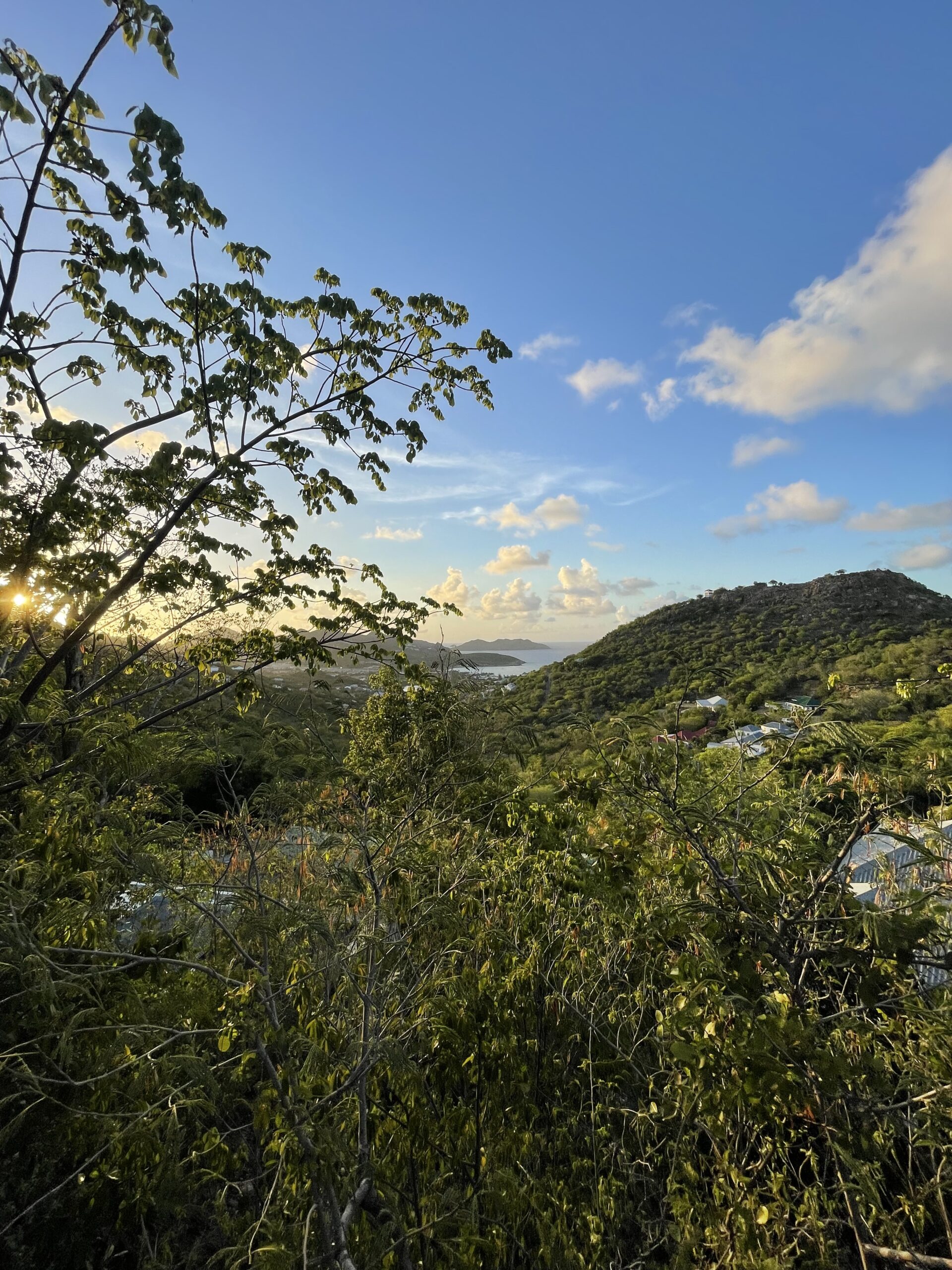 Evolution marché immobilier St Barth Aout 2023)